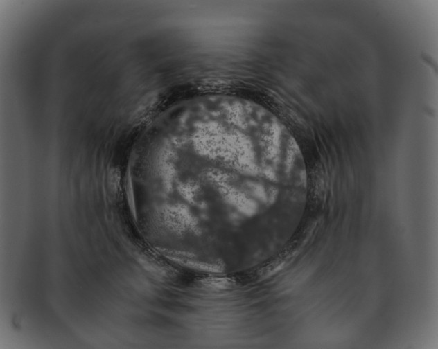 X0000091550711200709071216