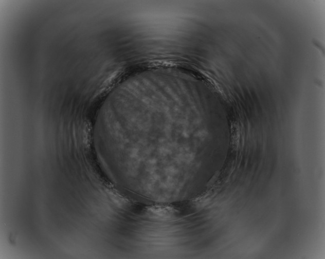 X0000091550712200709071216