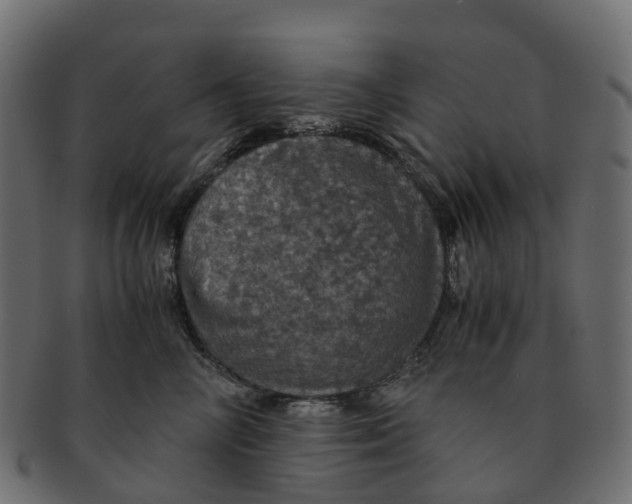 X0000091550714200709071216