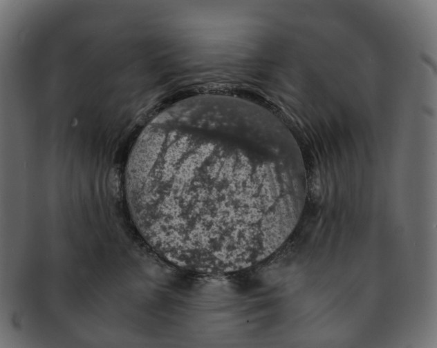 X0000091550715200709071216