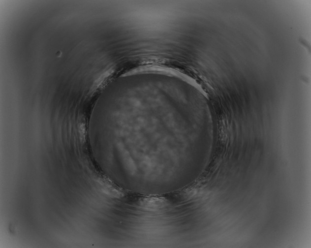 X0000091550716200709071216