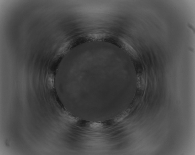 X0000091550718200709071216