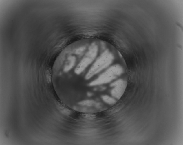X0000091550719200709071216