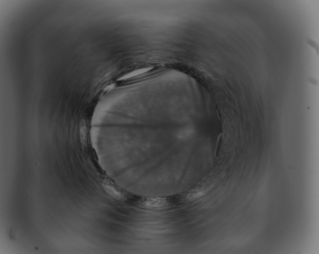 X0000091550720200709071216