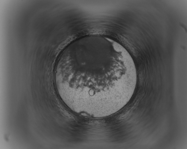 X0000091550721200709071216