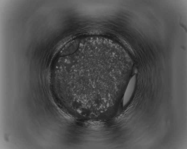 X0000091550722200709071216
