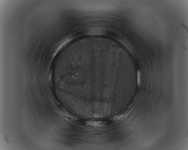 X0000091550723200709071216