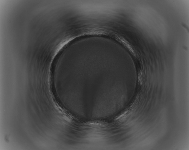 X0000091550724200709071216