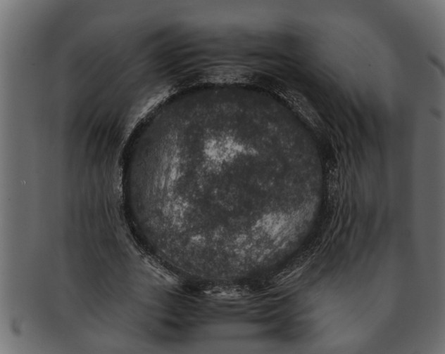 X0000091550727200709071216