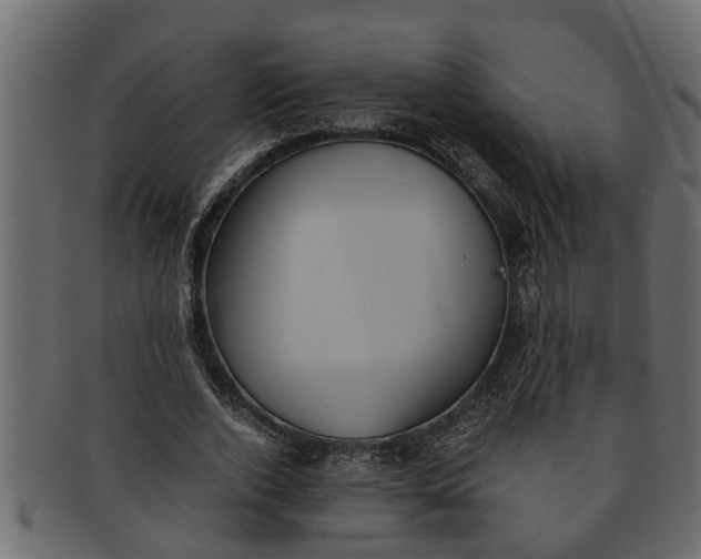 X0000091550728200709071216