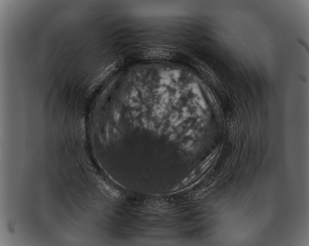 X0000091550729200709071216