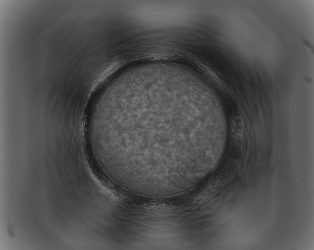 X0000091550730200709071216