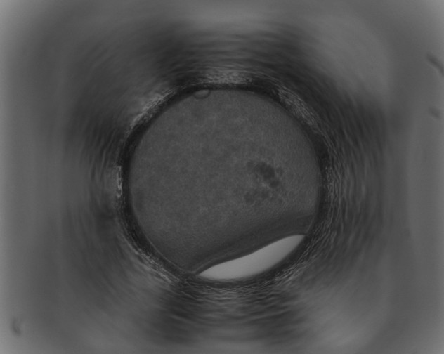 X0000091550731200709071216