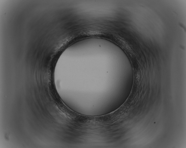 X0000091550732200709071216