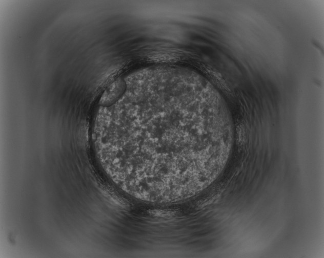 X0000091550733200709071216