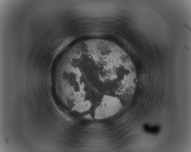X0000091550734200709071216