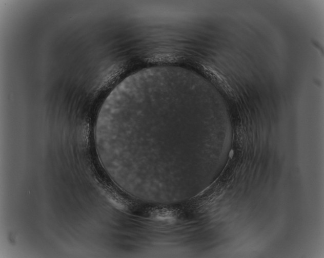 X0000091550735200709071216
