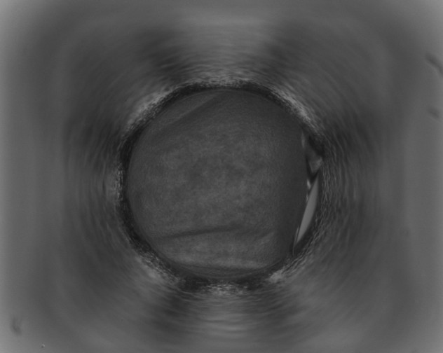 X0000091550736200709071216