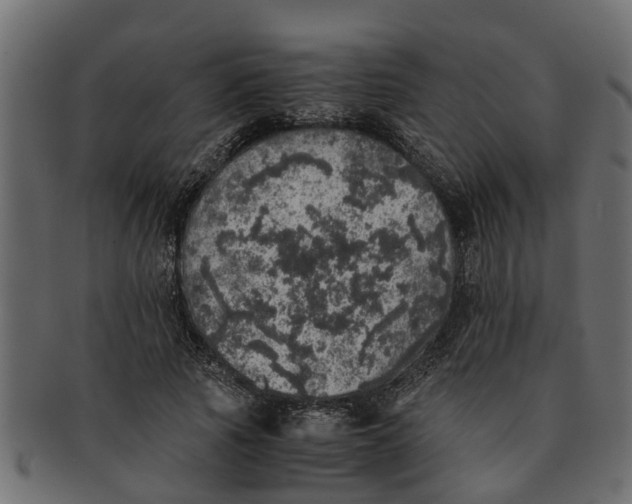 X0000091550737200709071216