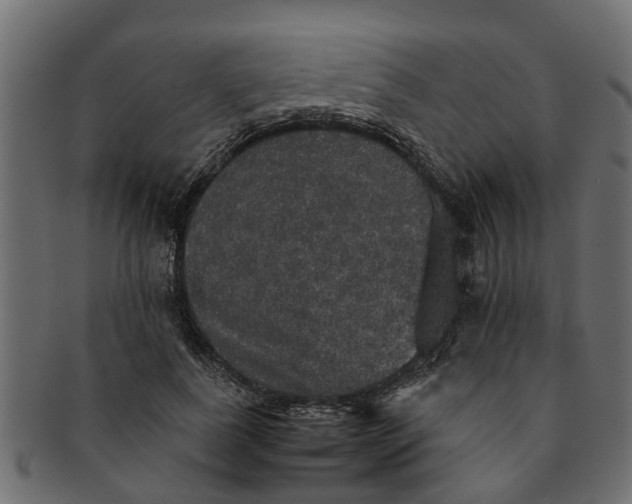 X0000091550739200709071216