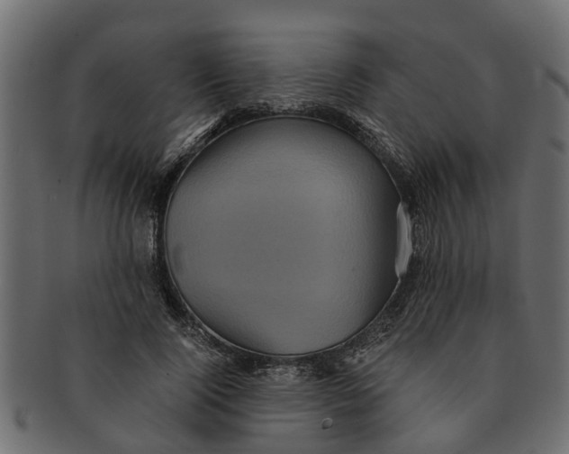 X0000091550740200709071216