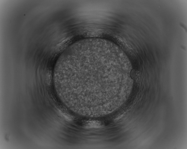 X0000091550741200709071216