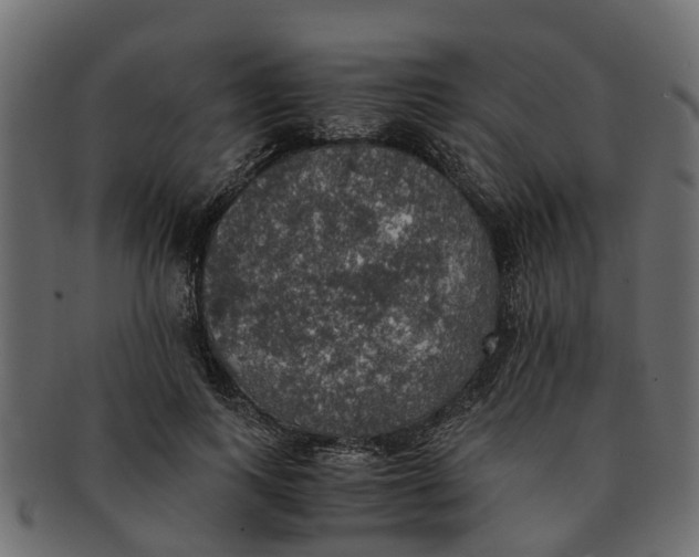 X0000091550743200709071216