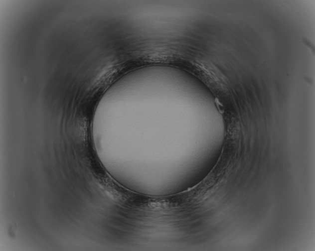 X0000091550744200709071216