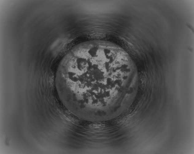 X0000091550745200709071216