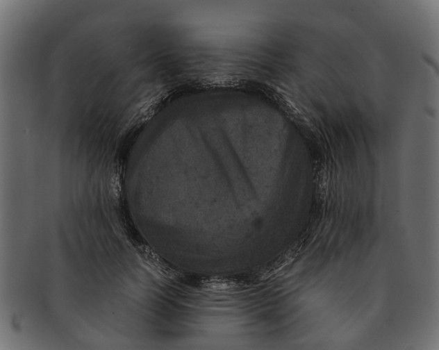 X0000091550746200709071216