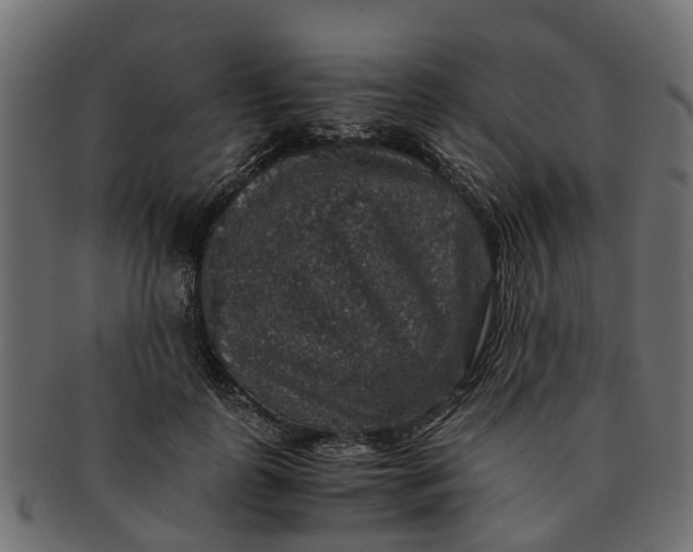 X0000091550747200709071216