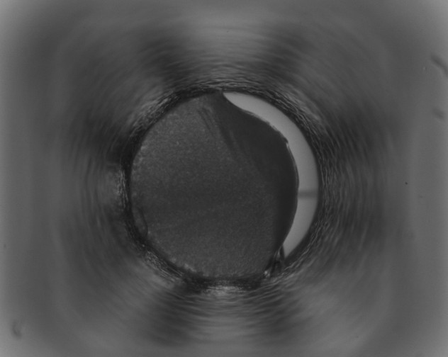 X0000091550748200709071216