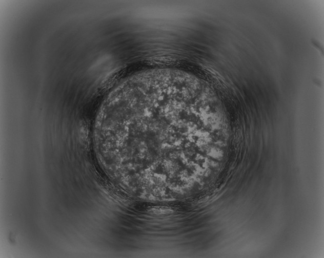 X0000091550749200709071216