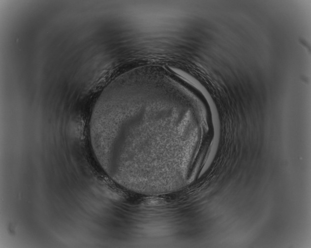 X0000091550750200709071216