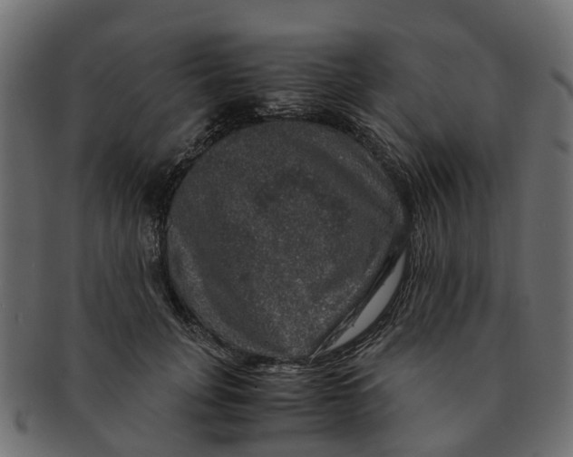 X0000091550751200709071216