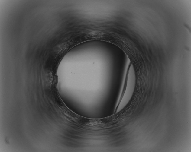 X0000091550752200709071216