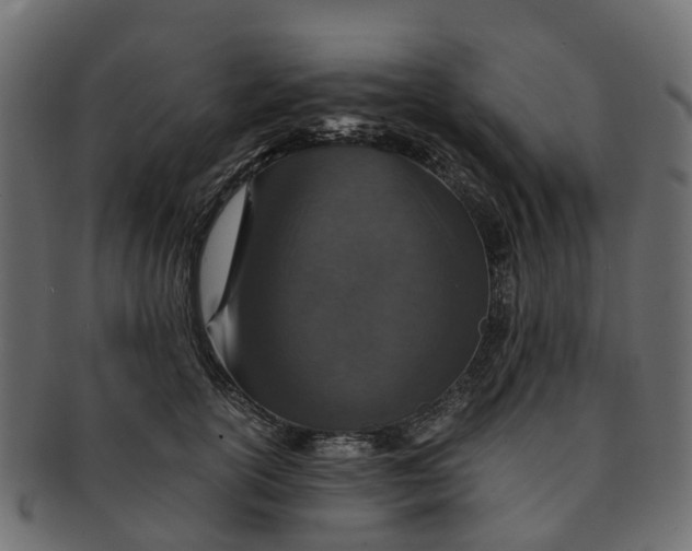 X0000091550754200709071216