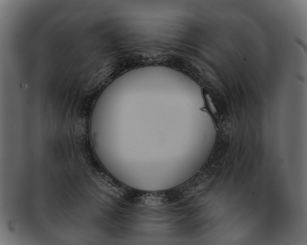 X0000091550756200709071216