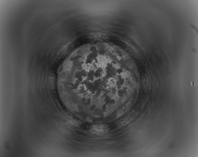 X0000091550757200709071216