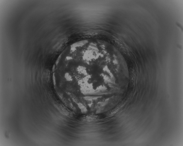 X0000091550758200709071216