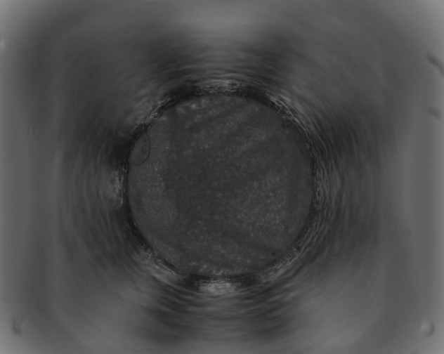 X0000091550759200709071216