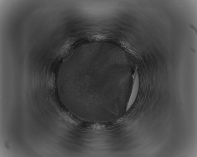 X0000091550760200709071216
