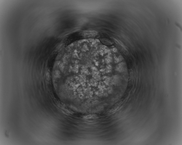 X0000091550761200709071216