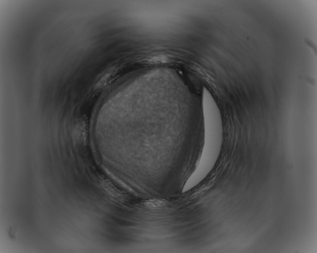 X0000091550762200709071216
