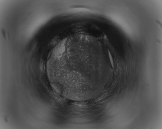X0000091550763200709071216