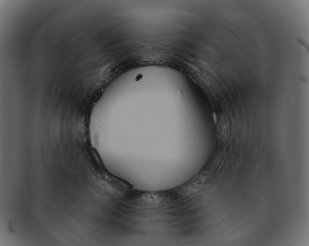 X0000091550764200709071216