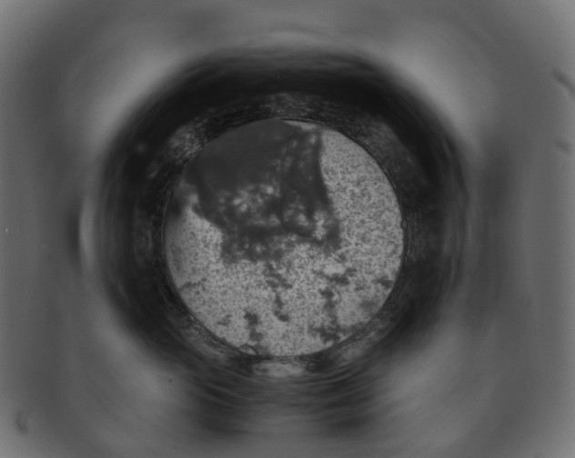 X0000091550765200709071216