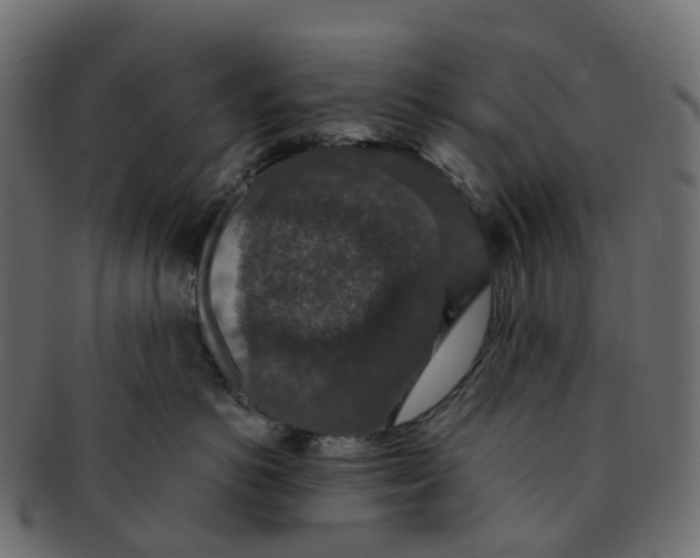 X0000091550766200709071216