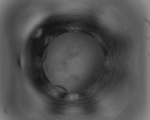 X0000091550767200709071216