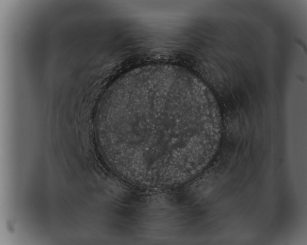 X0000091550769200709071215
